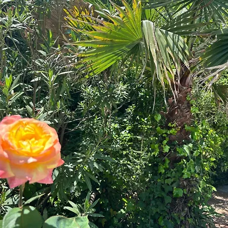 El Refugio De Juanar 3*