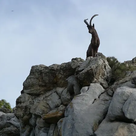 El Refugio De Juanar