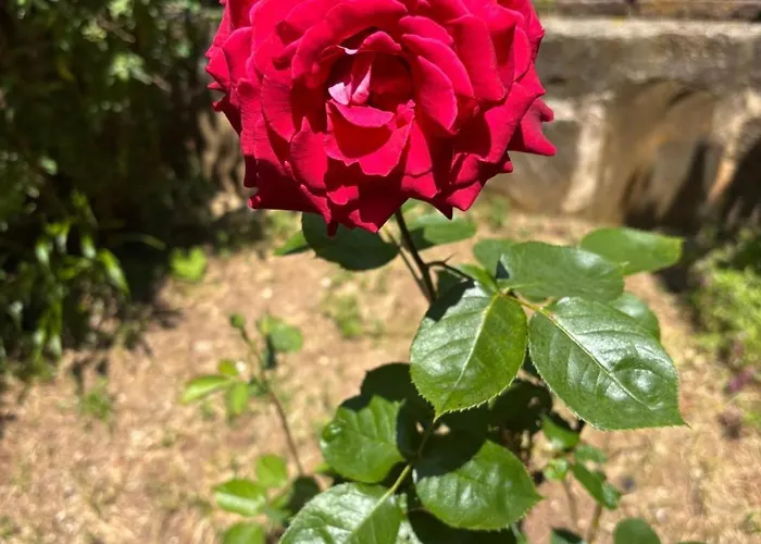 Hotell El Refugio De Juanar Ojén