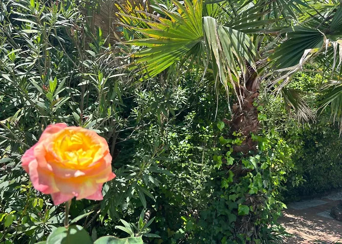 El Refugio De Juanar 3*